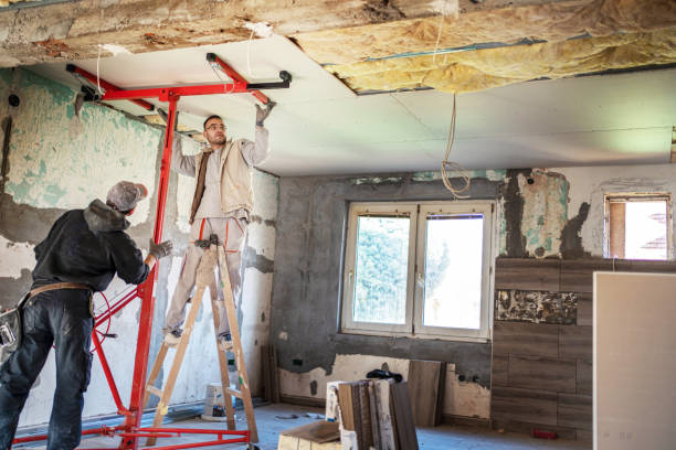 Trusted Plano, KY Insulation Contractor Experts