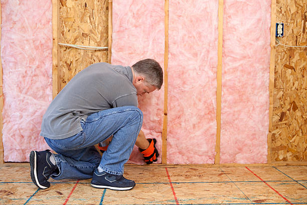 Best DIY Insulation Kits and Guidance in Plano, KY